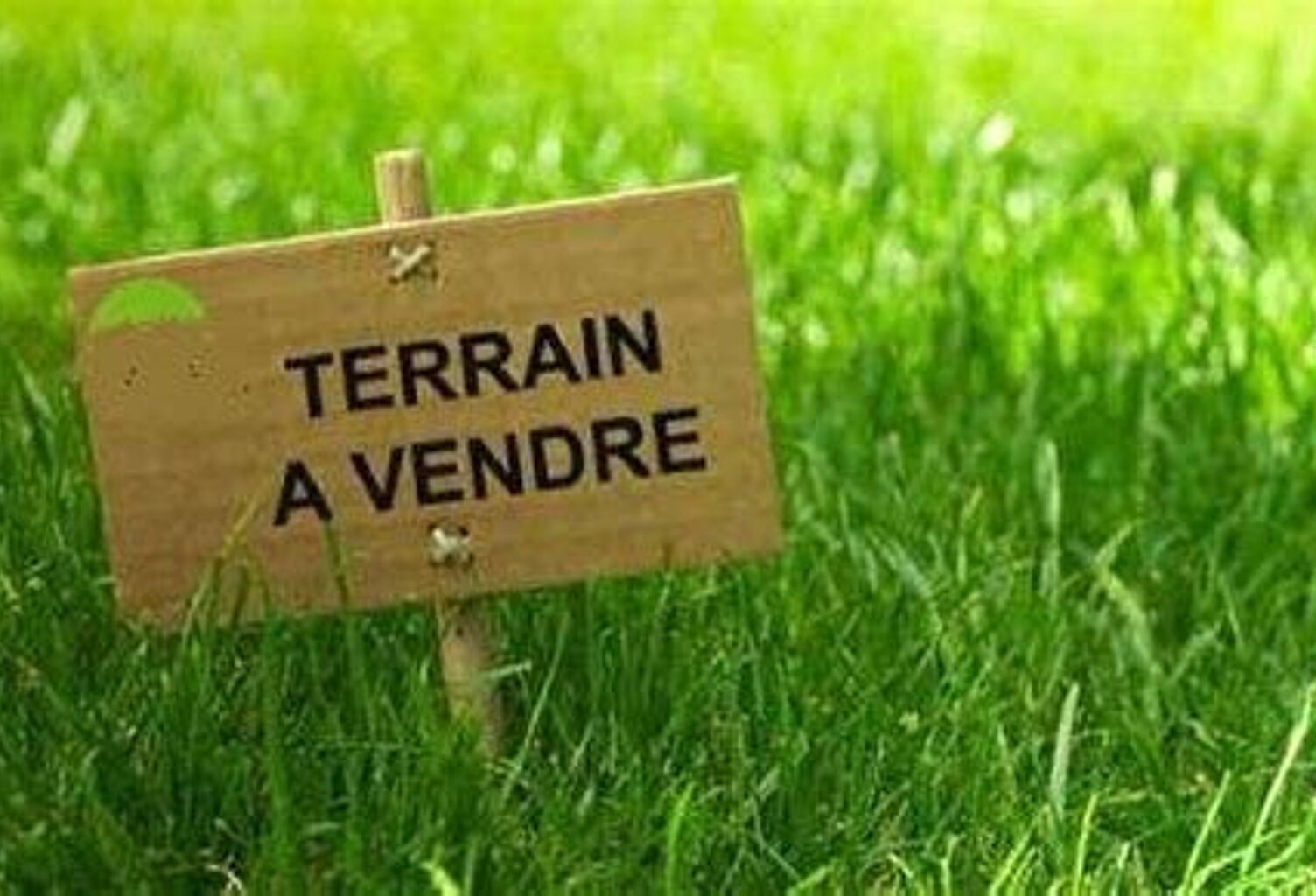 Terrain en lotissement — photo 1