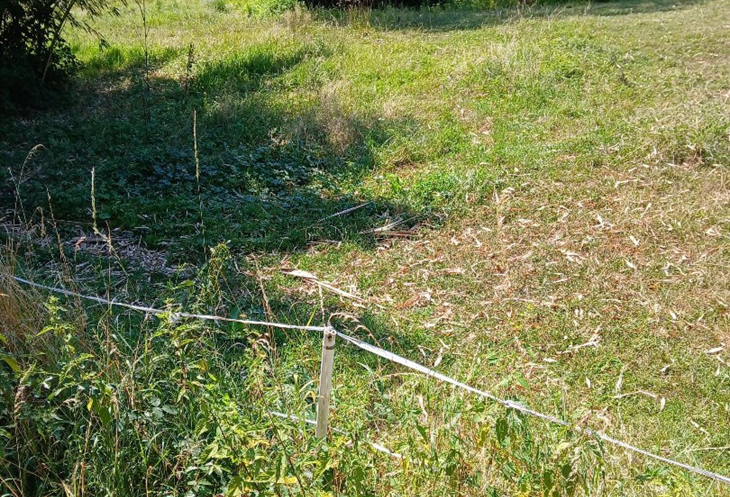 Terrain en lotissement — photo 1