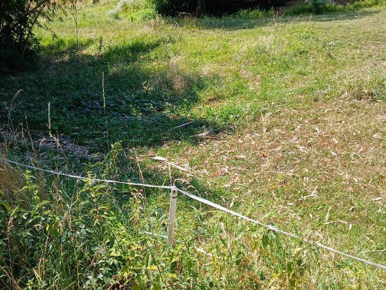 Terrain en lotissement — photo 1