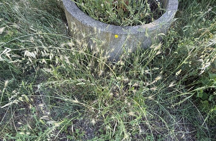 Vente Terrain agricole 15 100 m&sup2; — photo 4
