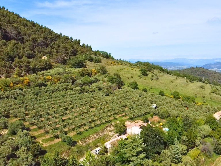 Propriété avec vue panoramique et 800 oliviers en production — photo 1
