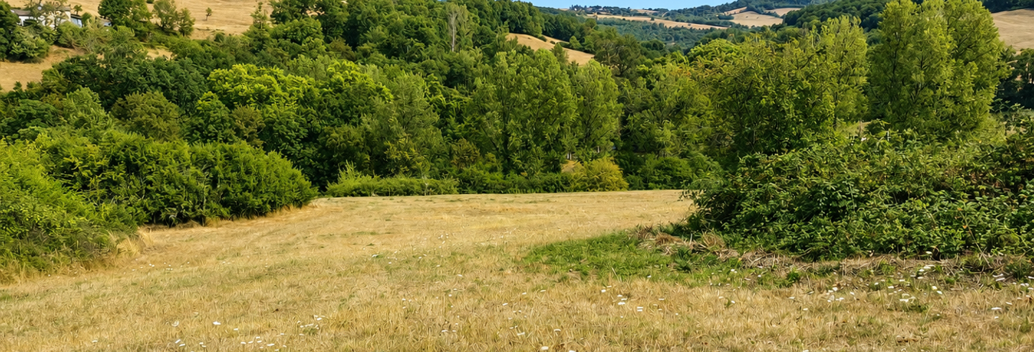 Terrain  175275 m² à vendre à Caylus (82160)