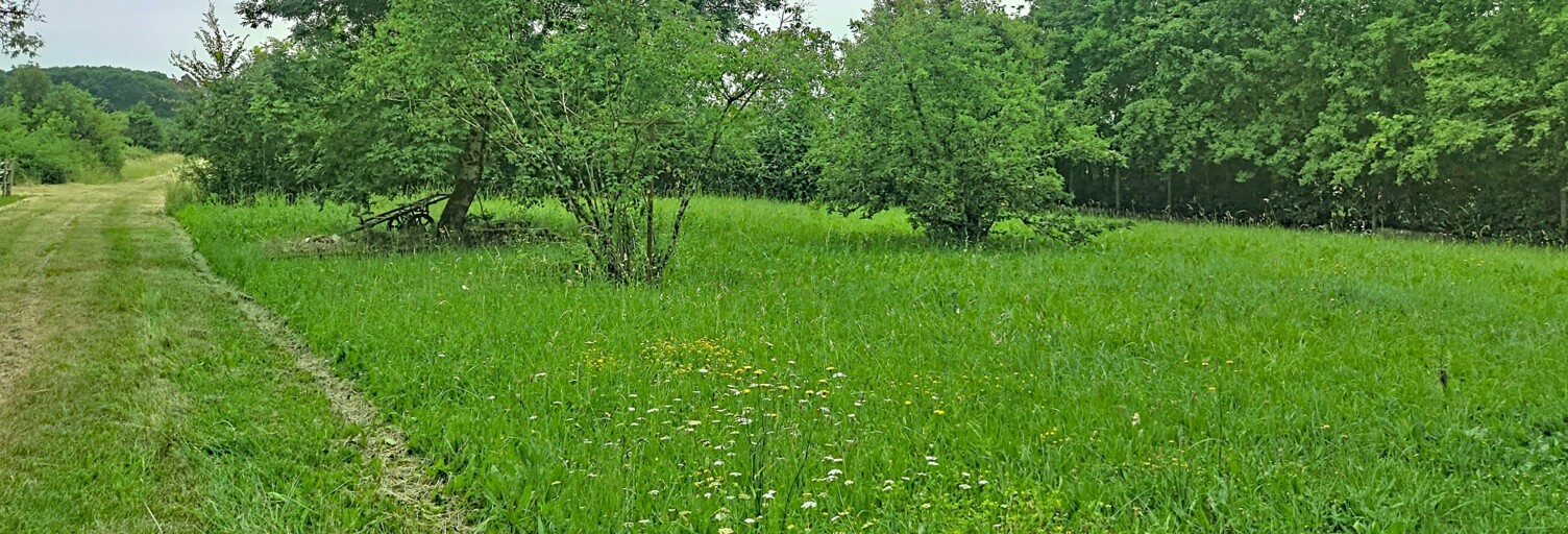 Terrain  1250 m² à vendre à Saint-Martin-du-Bois (33910)