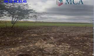 Terrain  5000 m² à vendre à Langoiran (33550)