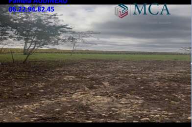 Terrain  160000 €