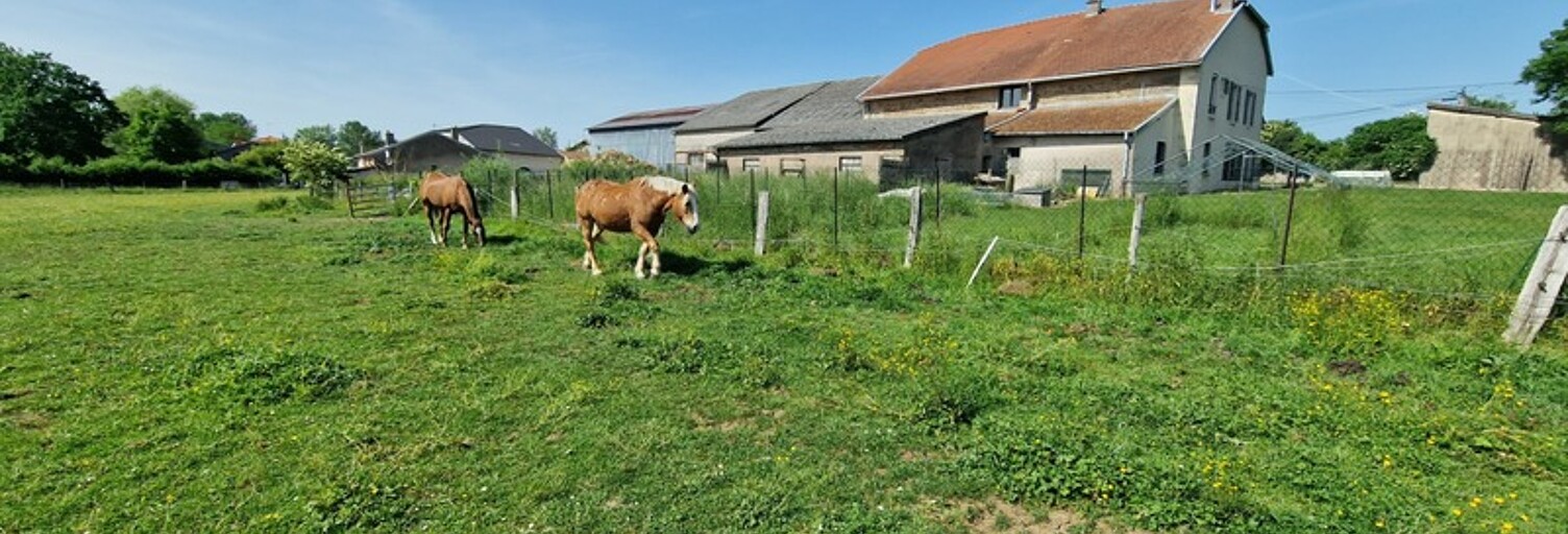 Maison 8 Pièces 228 m² à vendre à Lalœuf (54115)