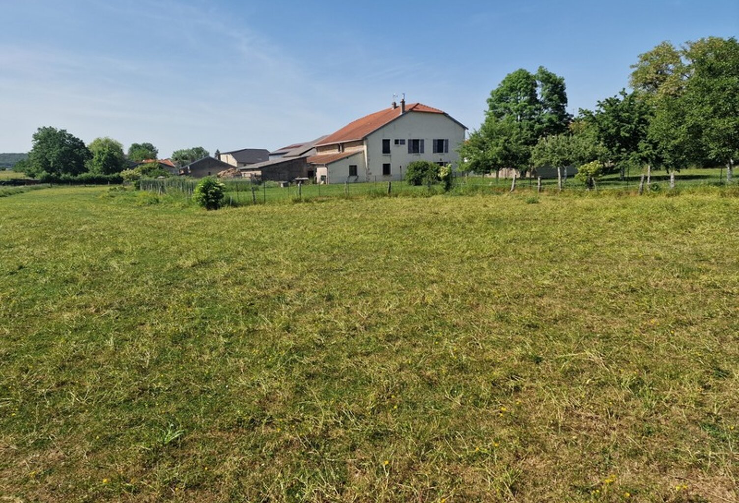 PROPRIÉTÉ à vendre 8 pièces proche NANCY (54) sur 1,8 HECTARE - PROPRIÉTÉ AGRICOLE avec FERME rénovée, DEPENDANCES, ECURIES, GRANGES — photo 1