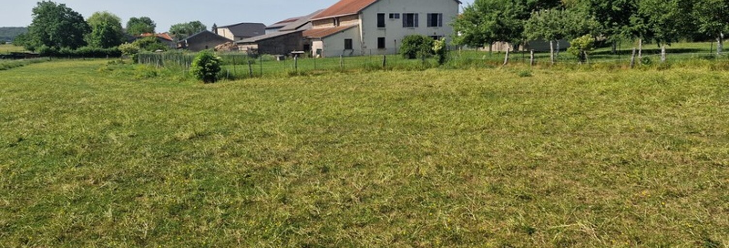 Maison 8 Pièces 228 m² à vendre à Lalœuf (54115)