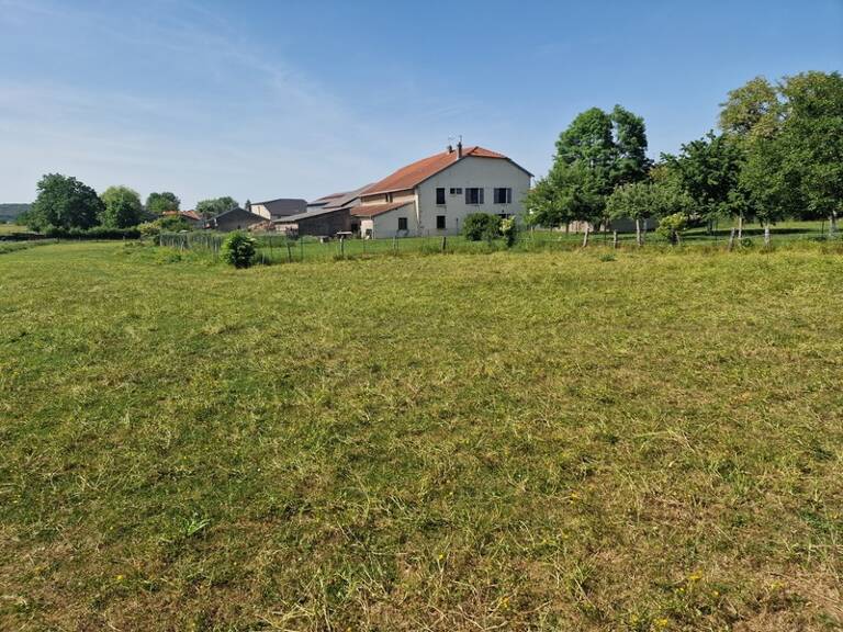 PROPRIÉTÉ à vendre 8 pièces proche NANCY (54) sur 1,8 HECTARE - PROPRIÉTÉ AGRICOLE avec FERME rénovée, DEPENDANCES, ECURIES, GRANGES — photo 1