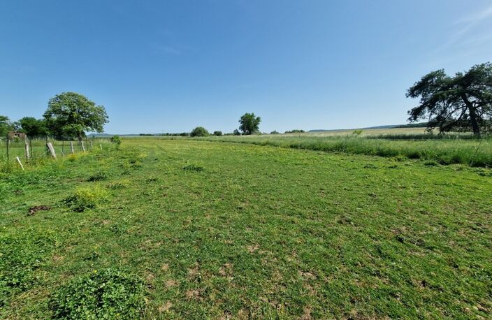 PROPRIÉTÉ à vendre 8 pièces proche NANCY (54) sur 1,8 HECTARE - PROPRIÉTÉ AGRICOLE avec FERME rénovée, DEPENDANCES, ECURIES, GRANGES — photo 5