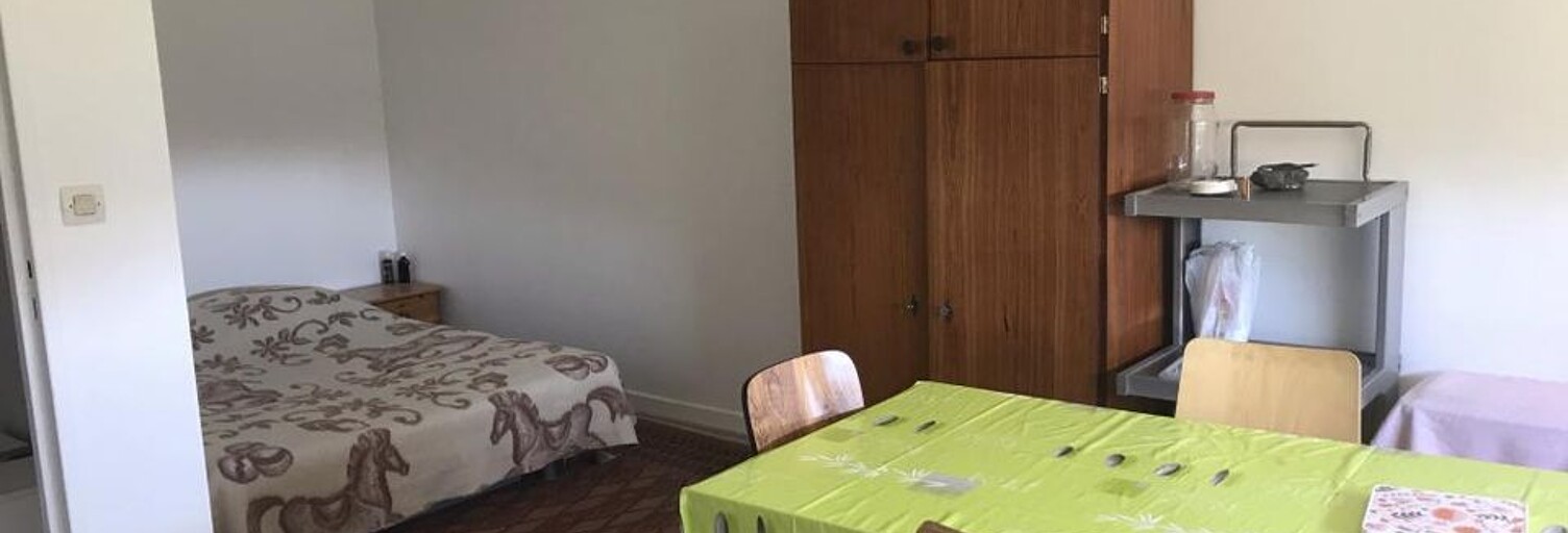 Appartement 1 Pièce 27 m² à louer à Villeurbanne (69100)