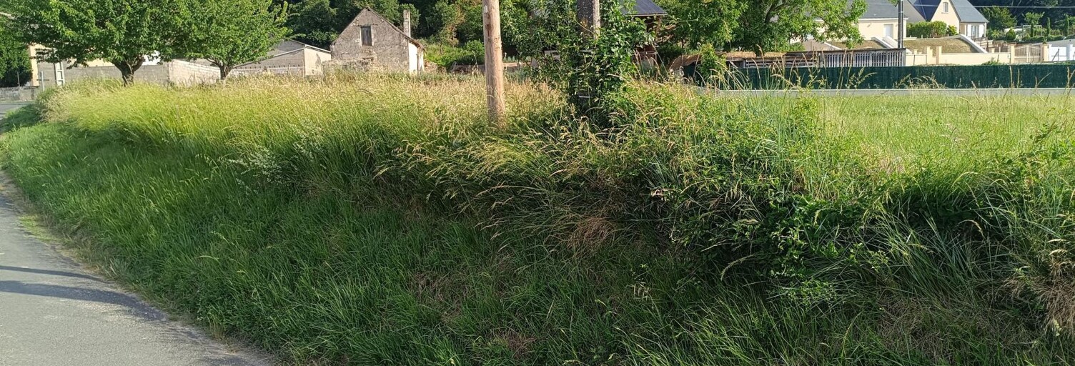 Terrain  1096 m² à vendre à Cravant-les-Côteaux (37500)