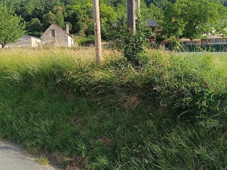 Terrain constructible Cravant-les-Coteaux — photo 1
