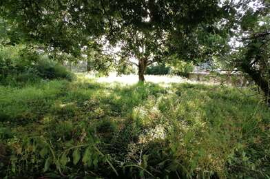 Terrain  295100 €