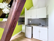 VAULNAVEYS-LE-HAUT - Studio 25M2 — photo 4