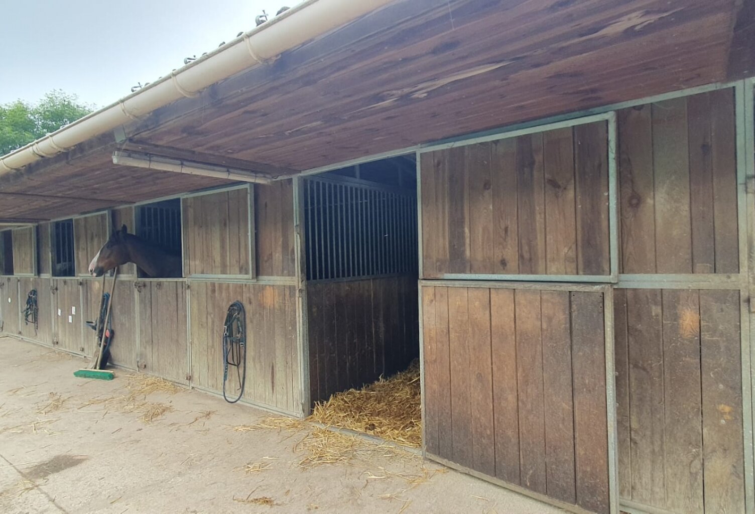 Vente Haras 6 pièces — photo 1