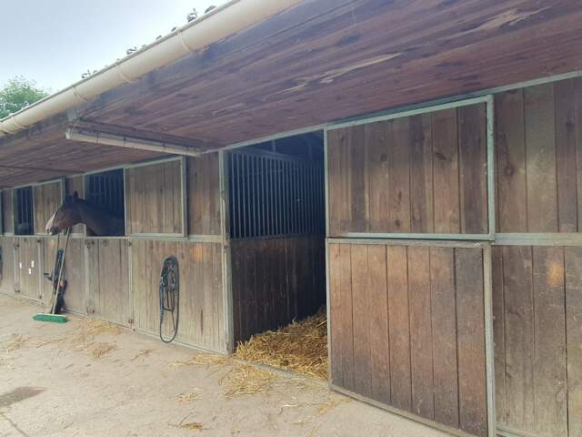 Vente Haras 6 pièces — photo du bien