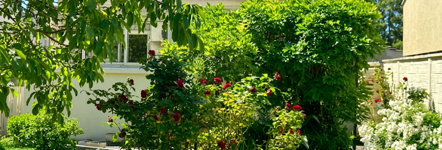 Photo N° 2