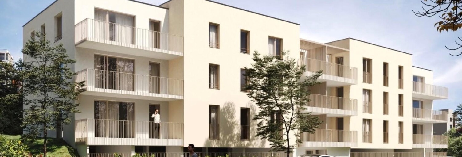 Appartement 3 Pièces 60 m² à vendre à Neuves-Maisons (54230)