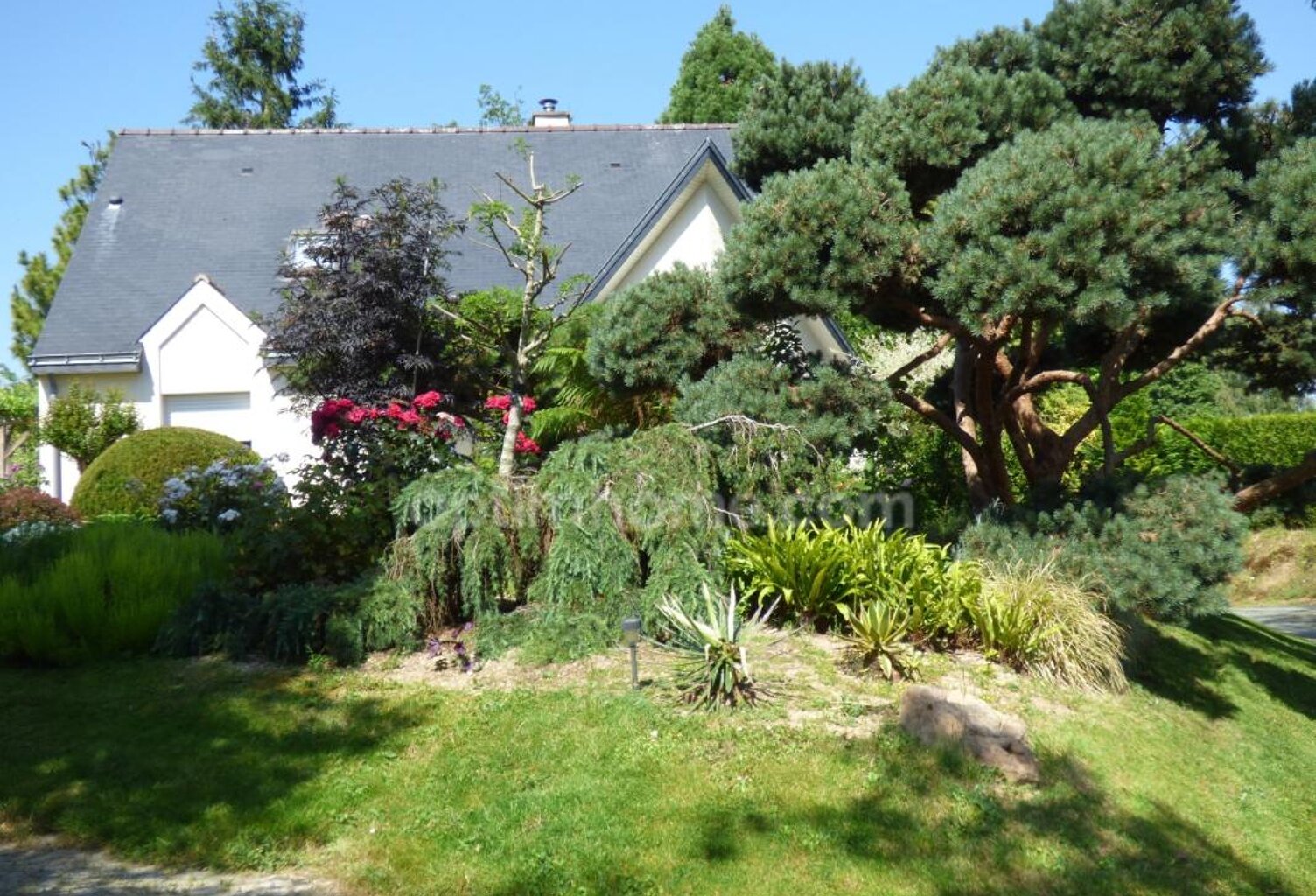 Maison 4 chambres, sous-sol et magnifique jardin — photo 1