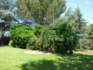Maison 4 chambres, sous-sol et magnifique jardin — photo 2