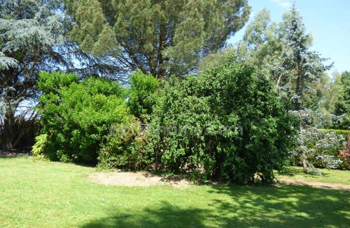 Maison 4 chambres, sous-sol et magnifique jardin — photo 2