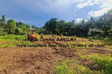 Terrain  248400 €