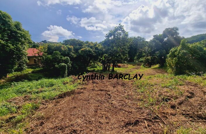 Terrain — photo 3
