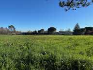  Terrain à bâtir a vendre – Ginestet (24) – 1500 m² – Proche de Bergerac — photo 2