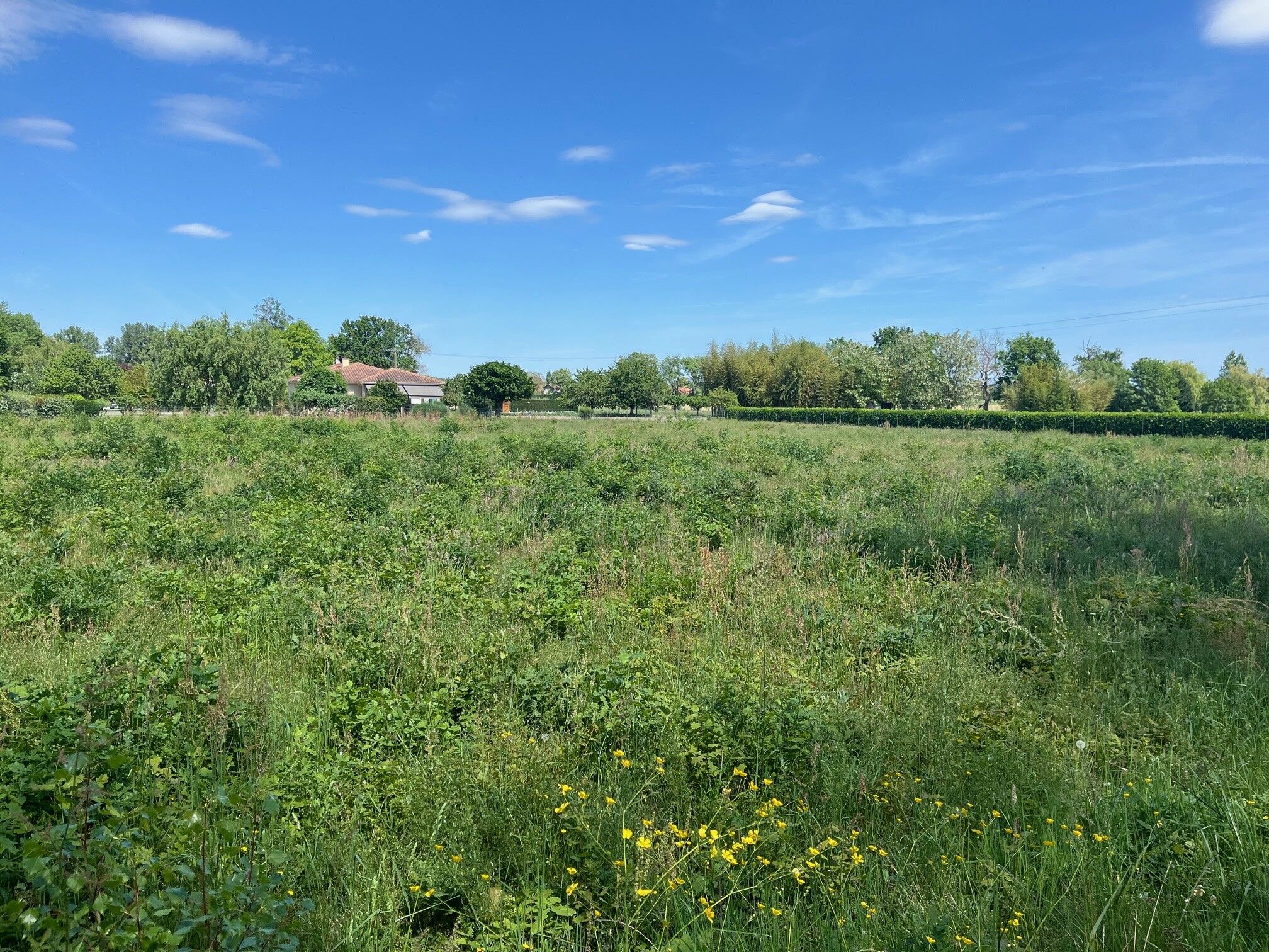 Agence immobilière de Les maisons Aura de Bergerac