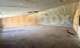 Commerce 1 Pièce 214 m² à vendre à Loireauxence (44370)