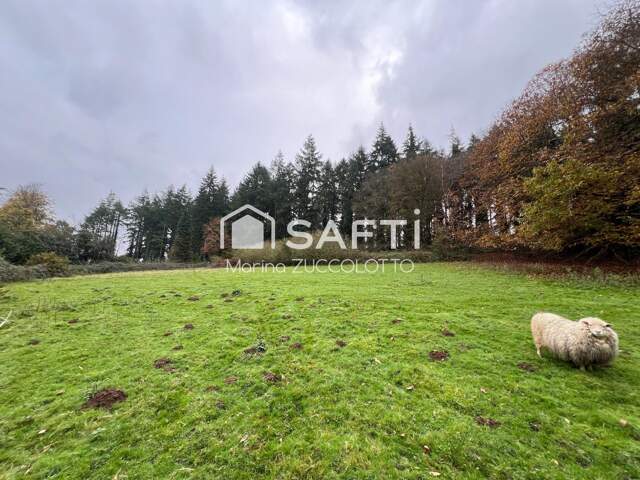 Terrain 1,2 hectare ave Etang — photo du bien