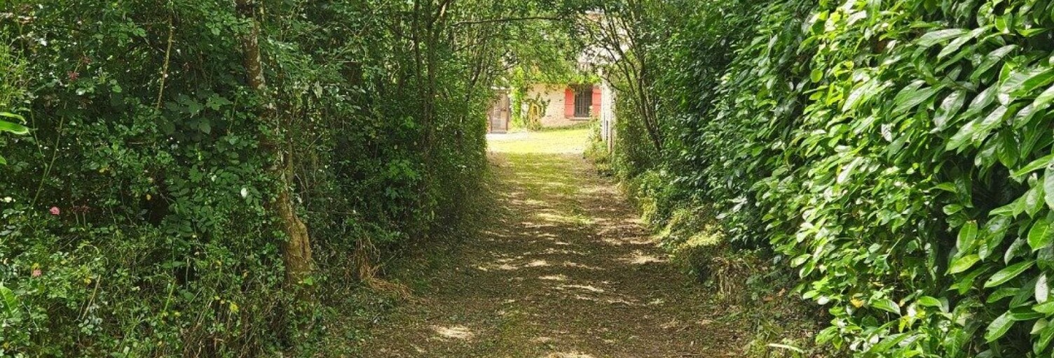 Photo N° 2