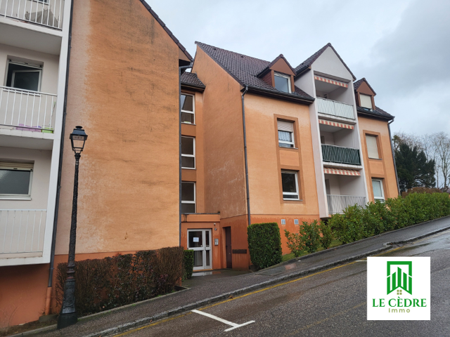 Grand appartement avec balcon à vendre à Altkirch (68) — photo du bien