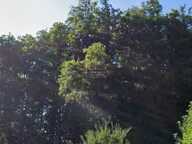 Terrain non constructible au MONT SAXONNEX — photo 2