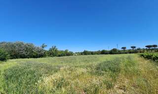 Terrain   m² à vendre à Trèbes (11800)