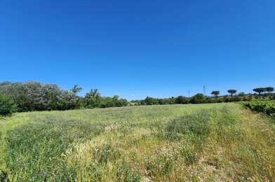 Terrain  20000 €