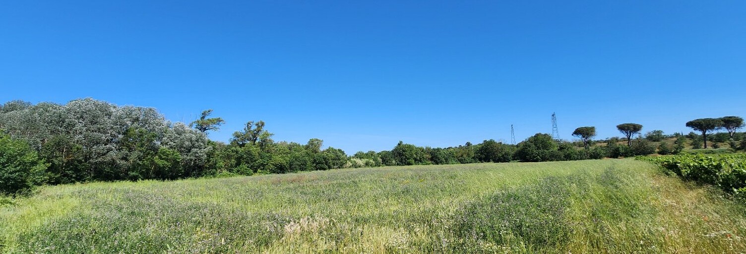 Terrain   m² à vendre à Trèbes (11800)