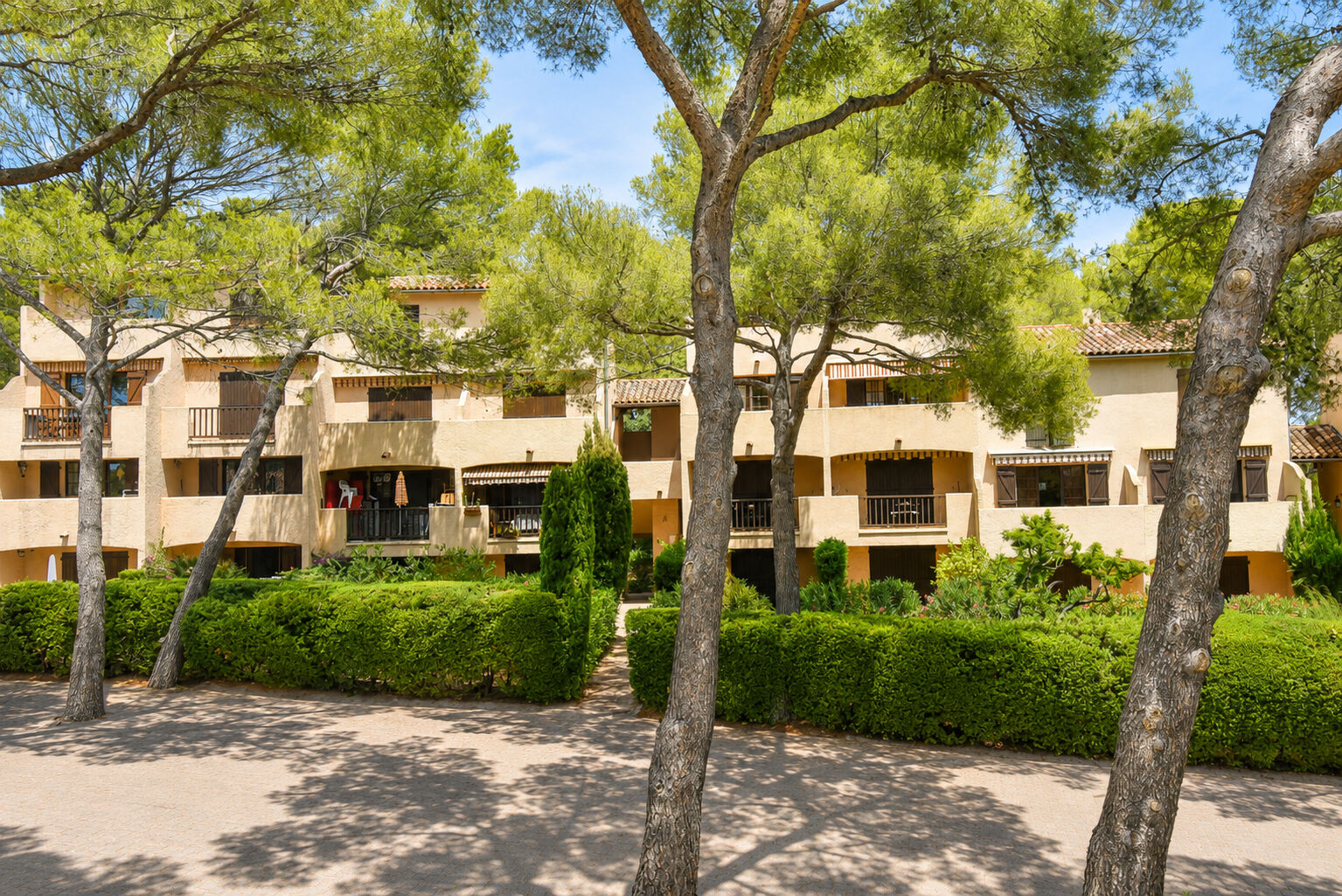 Photo n°1