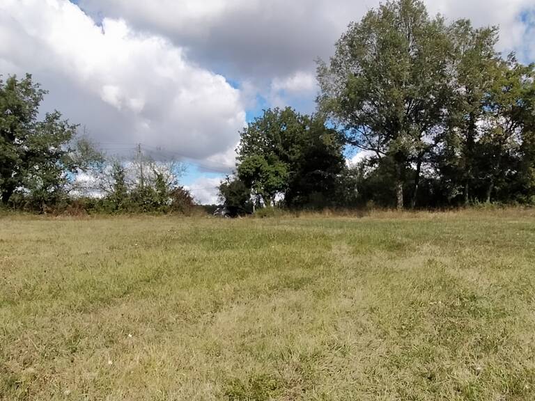 Vente Terrain à bâtir 3 000 m&sup2; — photo 1