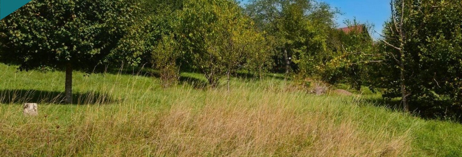 Terrain  753 m² à vendre à Torpes (25320)