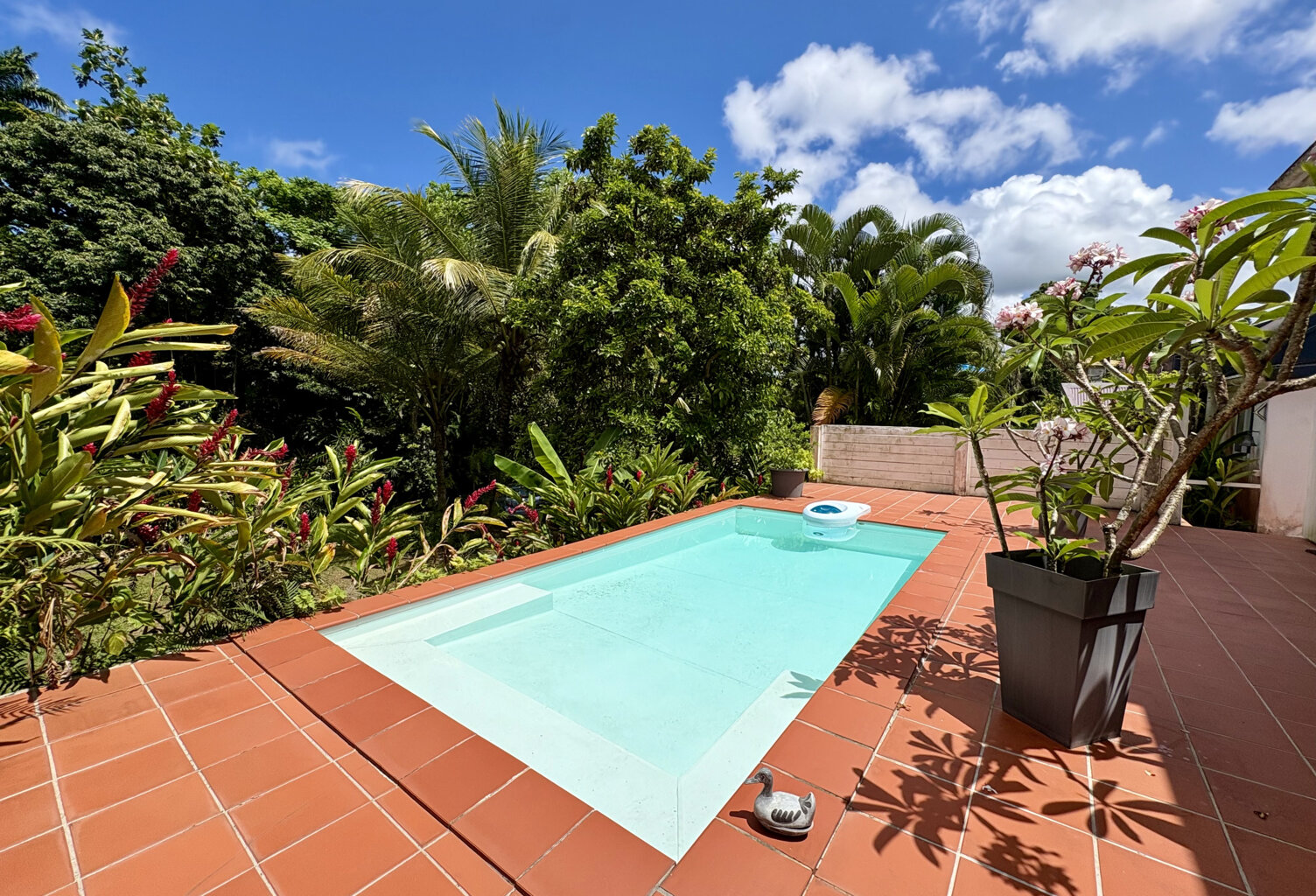 VILLA T5 + PISCINE HAUTEURS LEZARDE TERRAIN 925M2 — photo 1