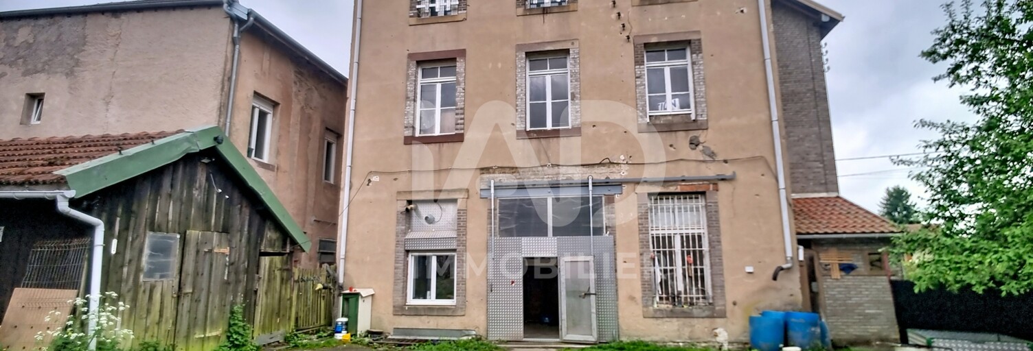 Immeuble  319 m² à vendre à Badonviller (54540)