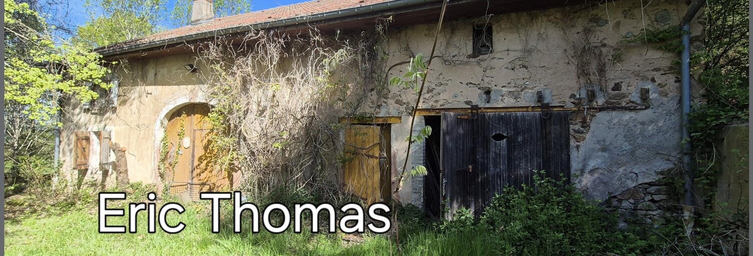 Maison 5 Pièces 350 m² à vendre à Anould (88650)
