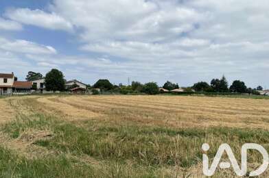 Terrain  81000 €