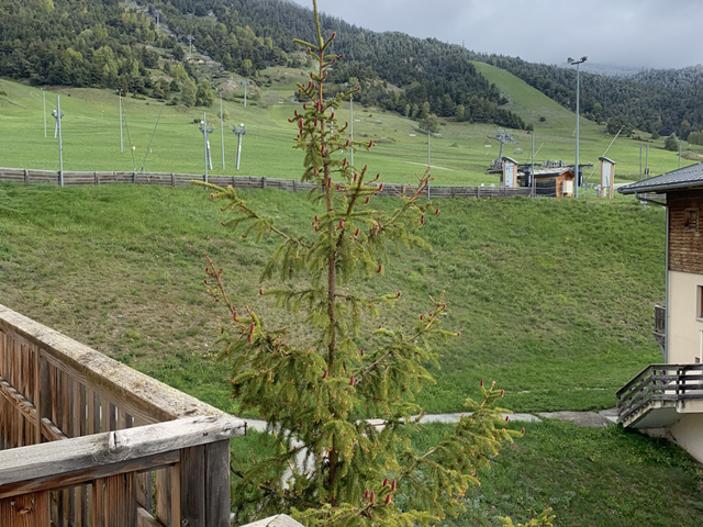 Vente Duplex 2 pièces — photo du bien