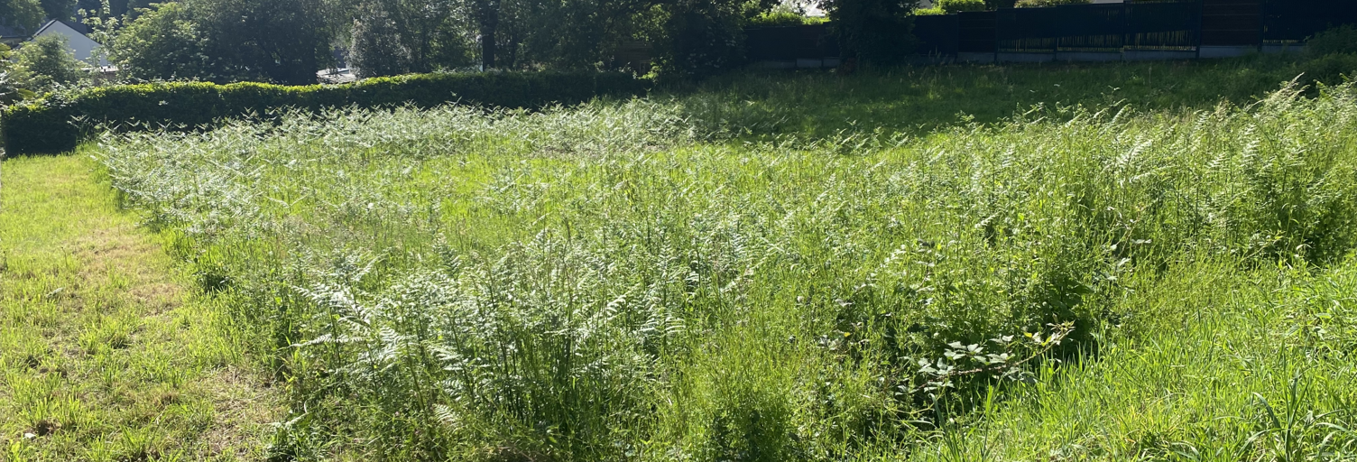 Terrain  1150 m² à vendre à Rochefort-en-Terre (56220)