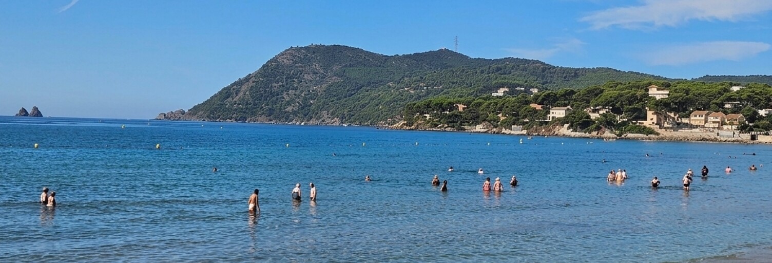 Photo N° 2