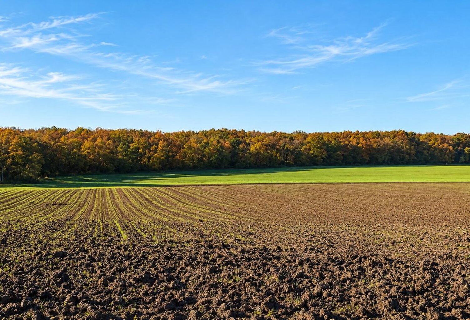 Terrain agricole — photo 1