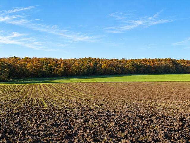 Terrain proposé à Jeu-les-Bois